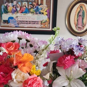 Meet your Posher, Mariana